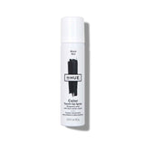 Color Touch-Up Spray Black