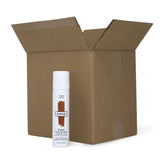 Color Touch-Up Spray Copper Case Pack